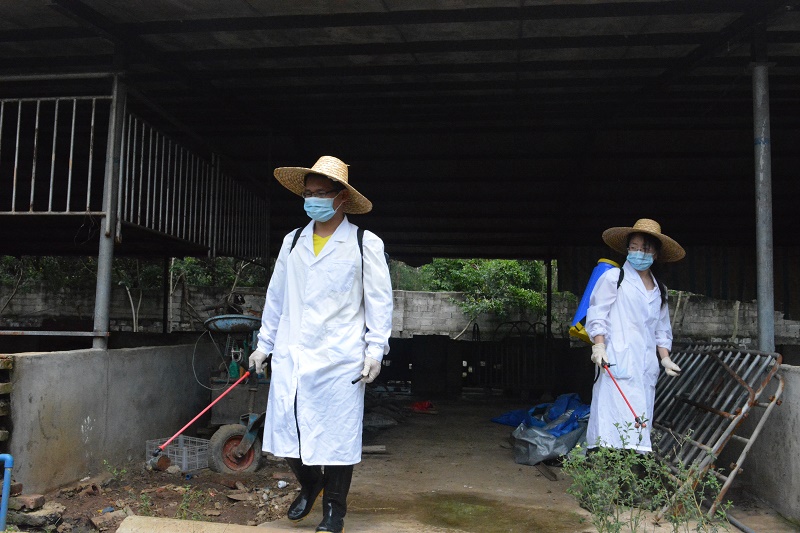 救災(zāi)技術(shù)服務(wù)隊(duì)隊(duì)員對豬場外圍進(jìn)行防疫消毒（海職青年記者團(tuán) 徐光順攝影）.JPG